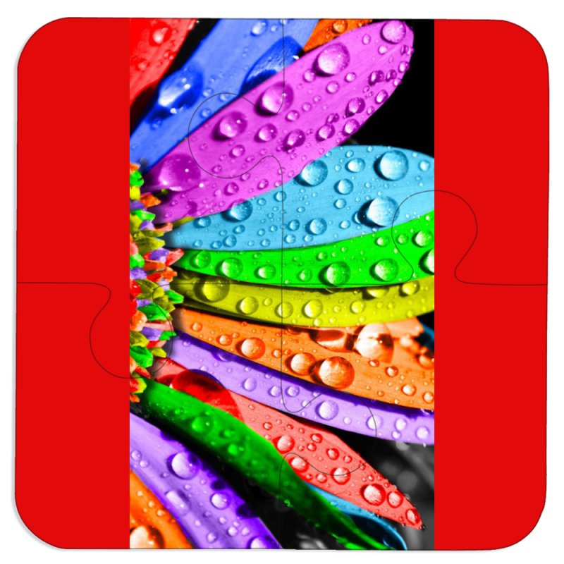 Магнитные фотопазлы 100 на 100 Colored Chamomile