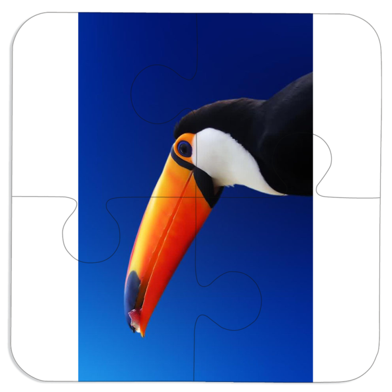 Магнитные фотопазлы 100 на 100 