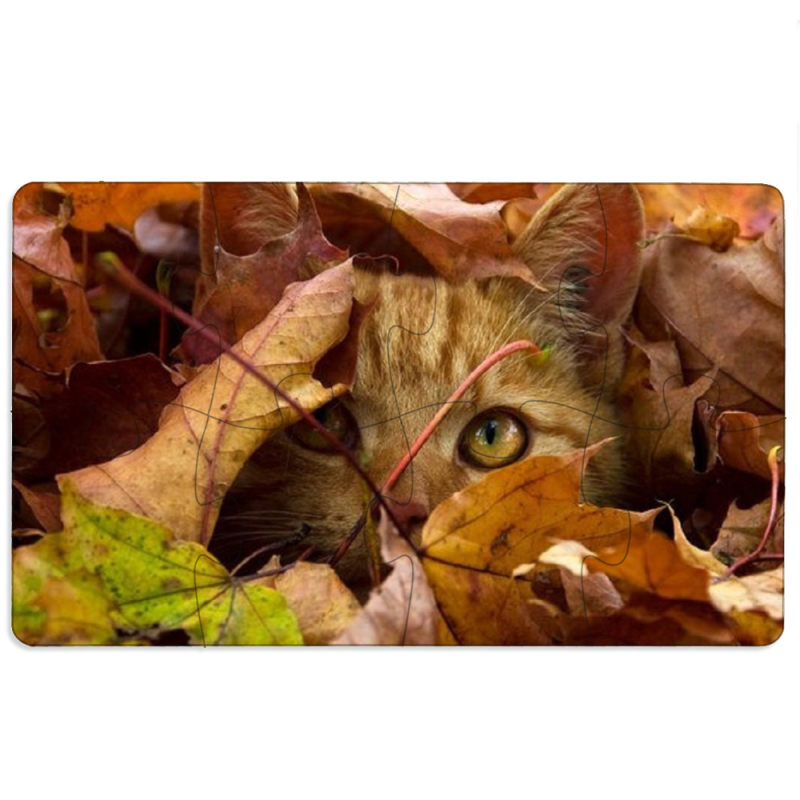 Магнитные фотопазлы 110 на 65 