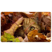 Магнитные фотопазлы 110 на 65 