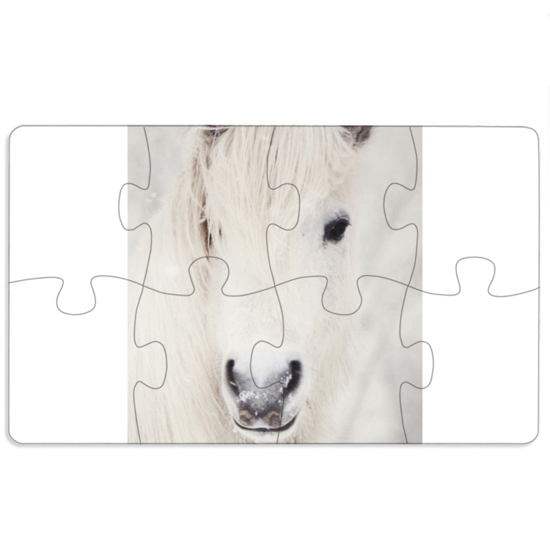 Магнитные фотопазлы 110 на 65 