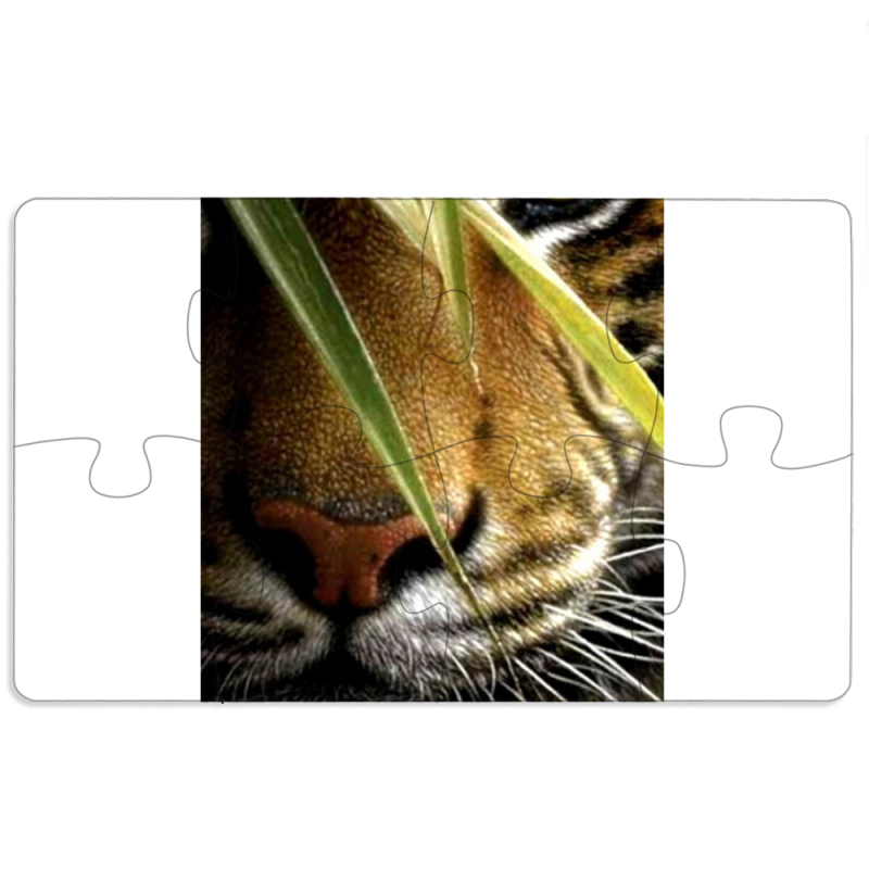 Магнитные фотопазлы 110 на 65 