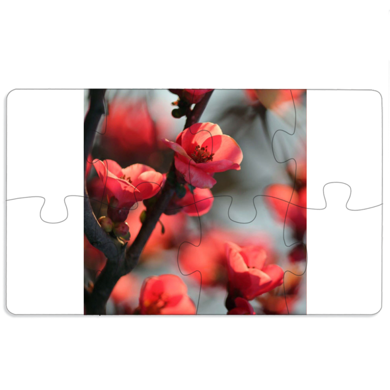 Магнитные фотопазлы 110 на 65 Awakening Spring