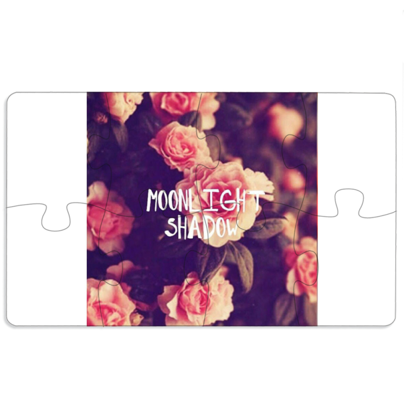 Магнитные фотопазлы 110 на 65 