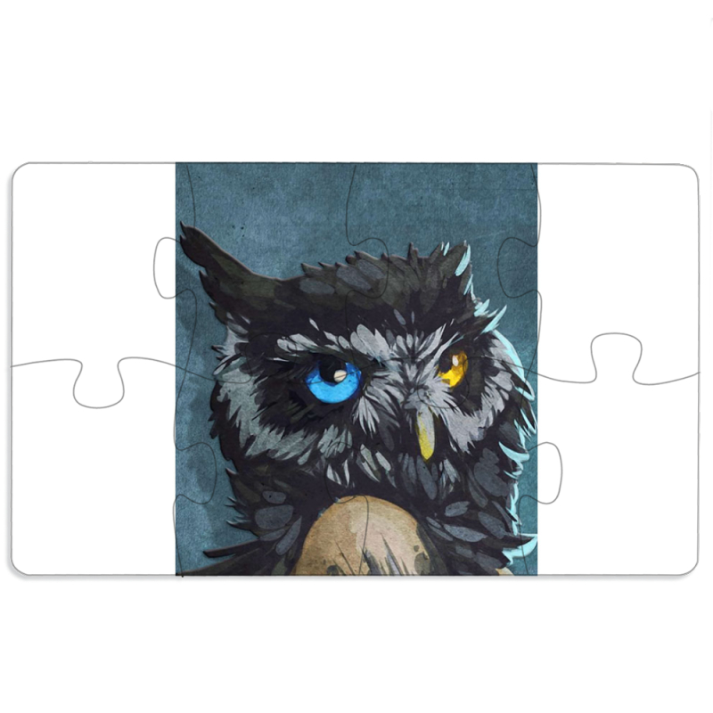 Магнитные фотопазлы 110 на 65 Owl Woman