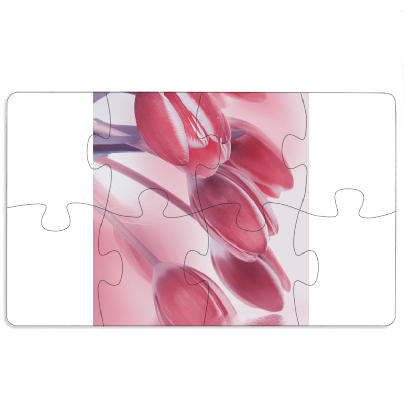 Магнитные фотопазлы 110 на 65 