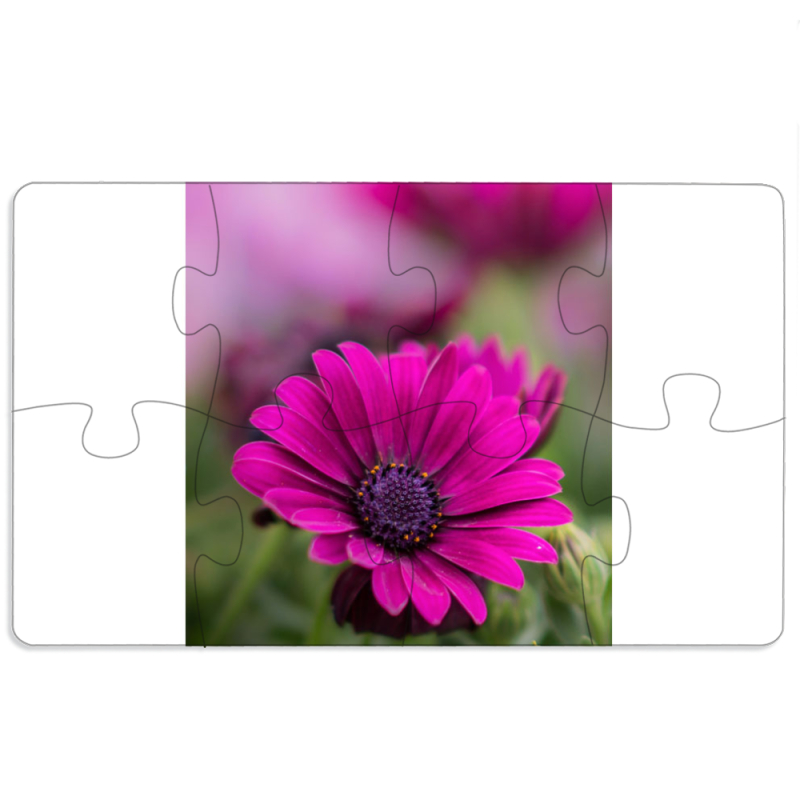 Магнитные фотопазлы 110 на 65 