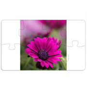 Магнитные фотопазлы 110 на 65 