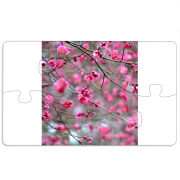 Магнитные фотопазлы 110 на 65 