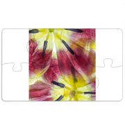 Магнитные фотопазлы 110 на 65 