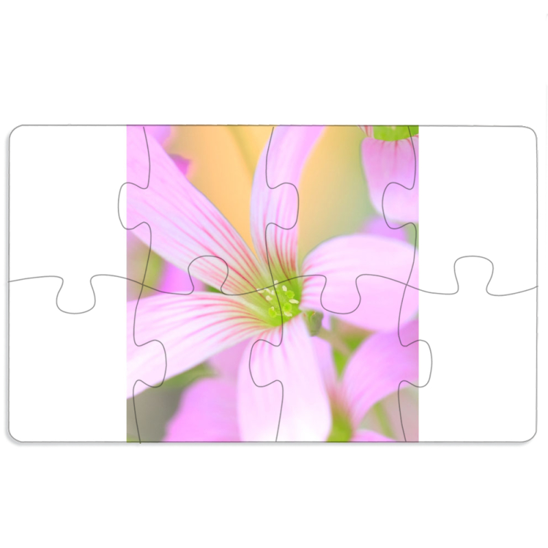 Магнитные фотопазлы 110 на 65 