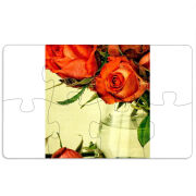 Магнитные фотопазлы 110 на 65 