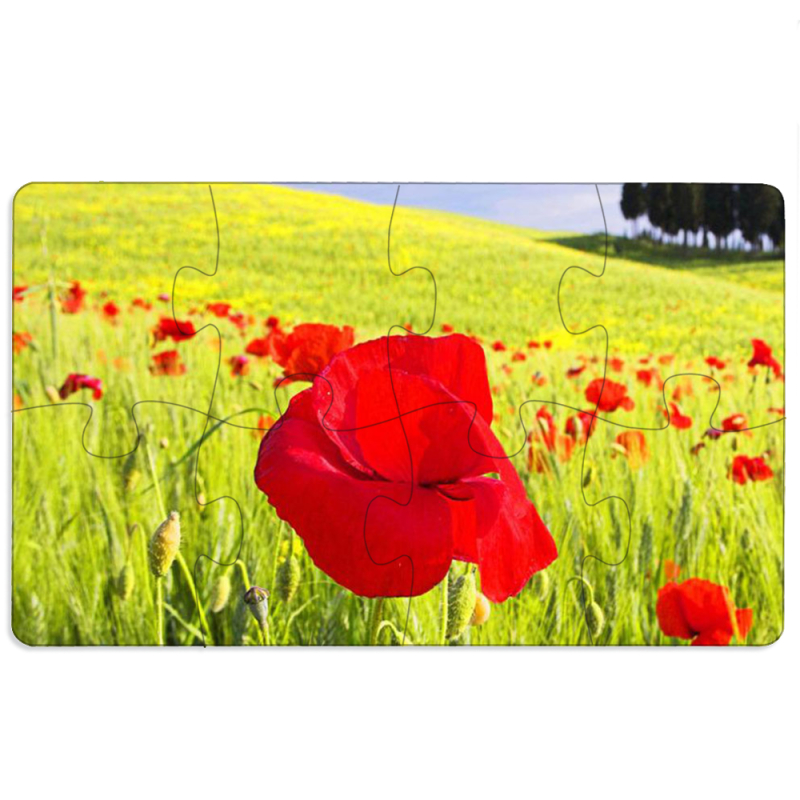 Магнитные фотопазлы 110 на 65 Мак