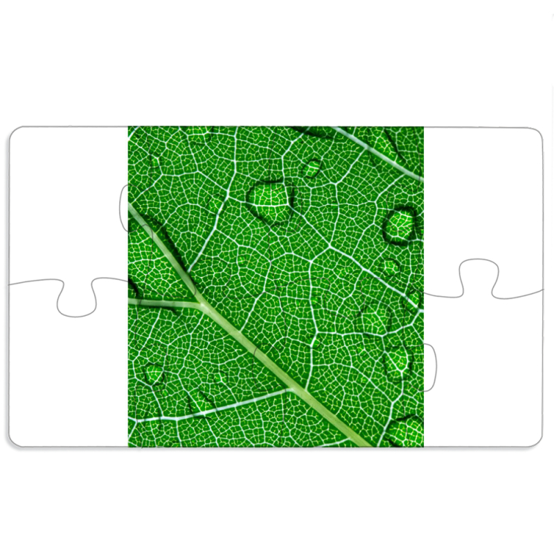 Магнитные фотопазлы 110 на 65 