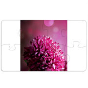 Магнитные фотопазлы 110 на 65 