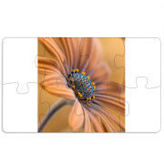 Магнитные фотопазлы 110 на 65 