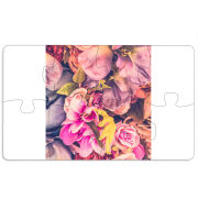 Магнитные фотопазлы 110 на 65 