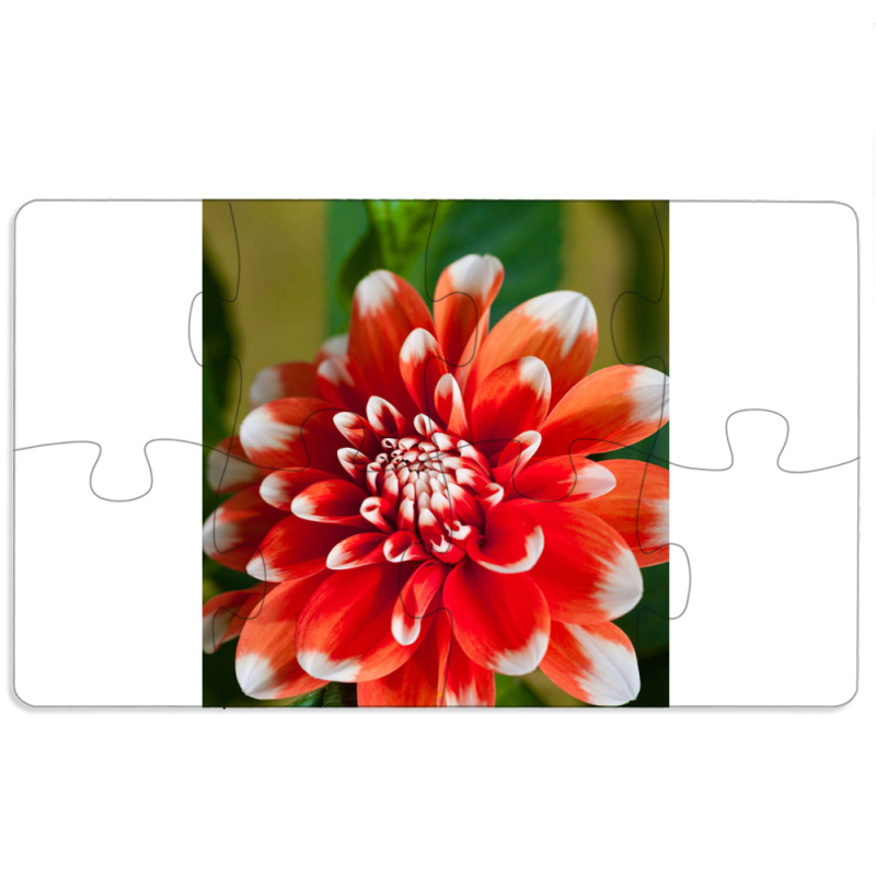 Магнитные фотопазлы 110 на 65 