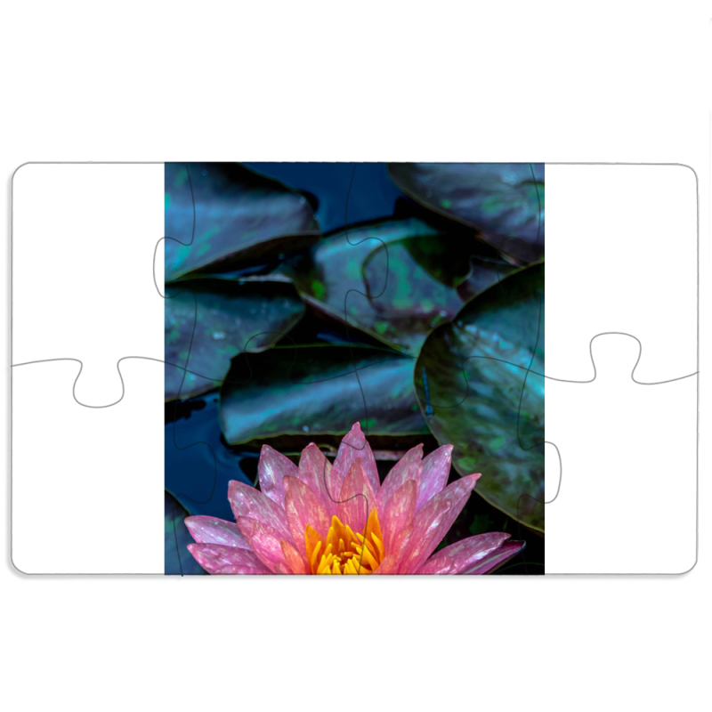 Магнитные фотопазлы 110 на 65 