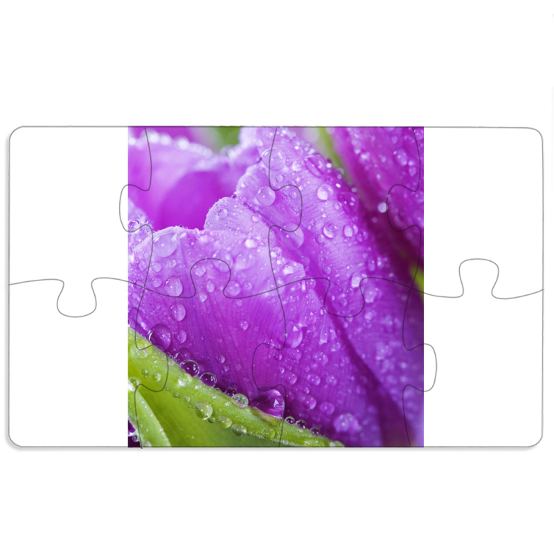 Магнитные фотопазлы 110 на 65 