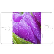 Магнитные фотопазлы 110 на 65 