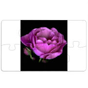 Магнитные фотопазлы 110 на 65 