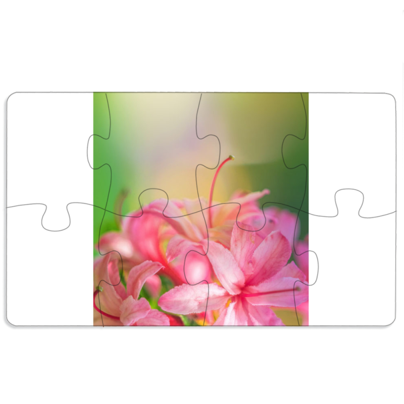 Магнитные фотопазлы 110 на 65 