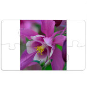 Магнитные фотопазлы 110 на 65 