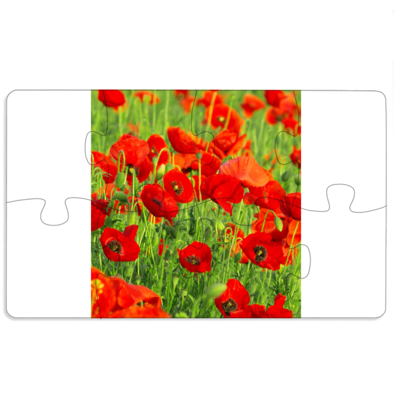 Магнитные фотопазлы 110 на 65 