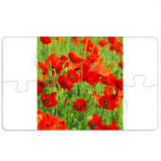 Магнитные фотопазлы 110 на 65 