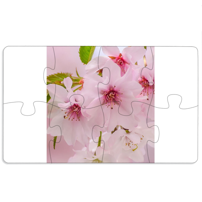 Магнитные фотопазлы 110 на 65 