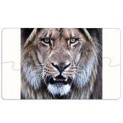 Магнитные фотопазлы 110 на 65 