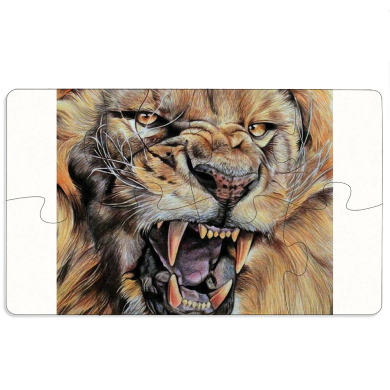 Магнитные фотопазлы 110 на 65 