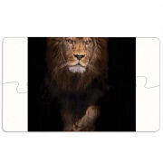 Магнитные фотопазлы 110 на 65 