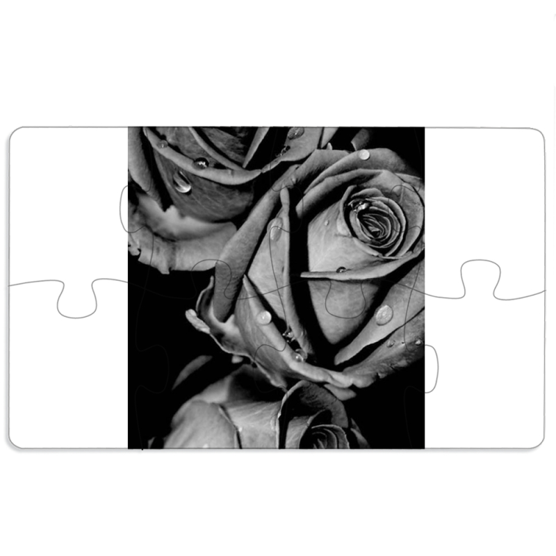 Магнитные фотопазлы 110 на 65 Black and White Roses
