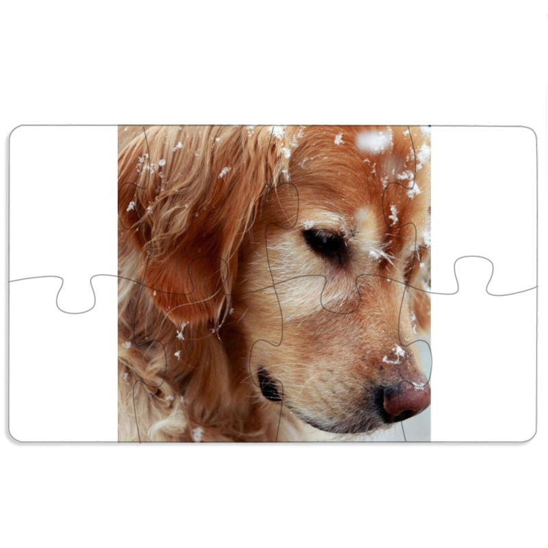 Магнитные фотопазлы 110 на 65 Golden Retriever