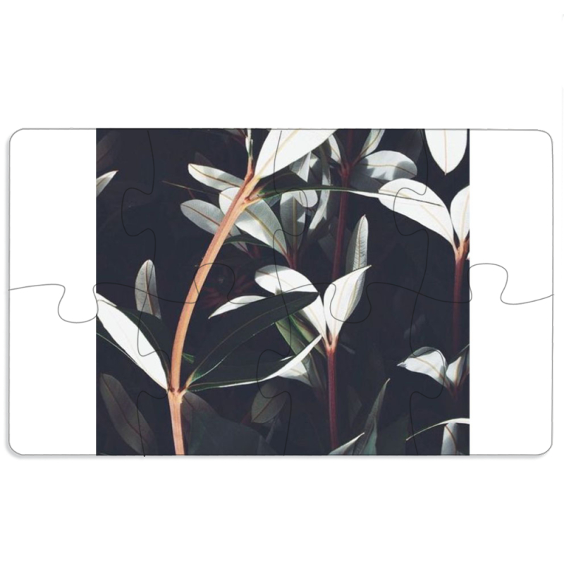 Магнитные фотопазлы 110 на 65 