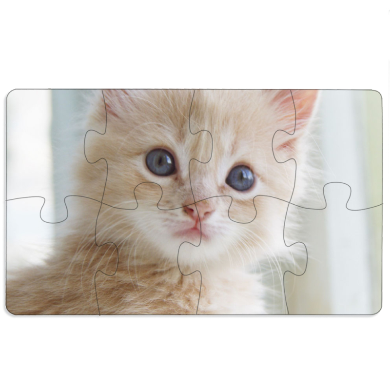 Магнитные фотопазлы 110 на 65 Animation Kittens