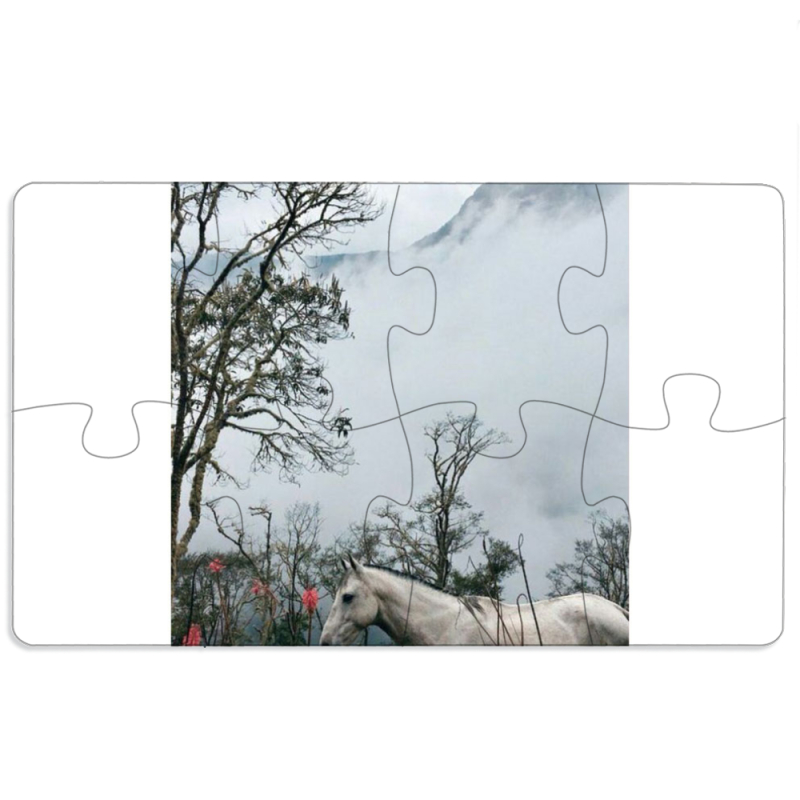 Магнитные фотопазлы 110 на 65 