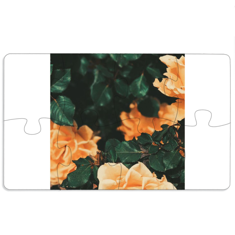 Магнитные фотопазлы 110 на 65 