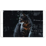 Магнитные фотопазлы 110 на 65 