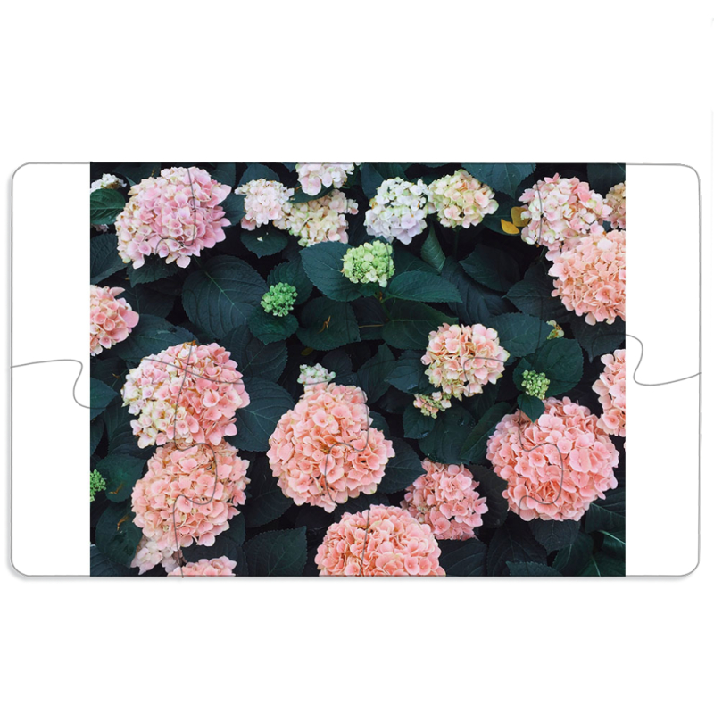 Магнитные фотопазлы 110 на 65 