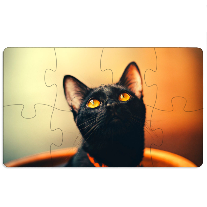 Магнитные фотопазлы 110 на 65 