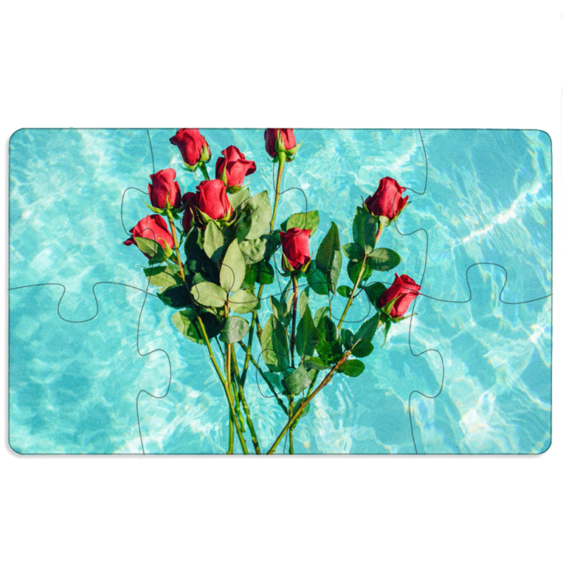 Магнитные фотопазлы 110 на 65 