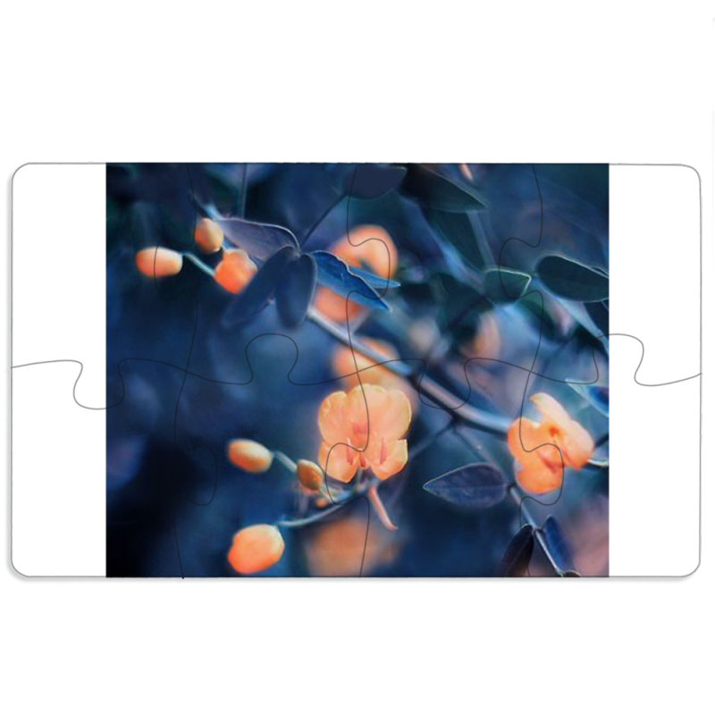 Магнитные фотопазлы 110 на 65 