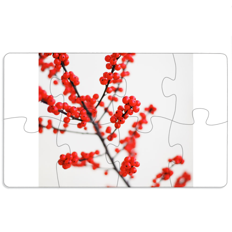 Магнитные фотопазлы 110 на 65 