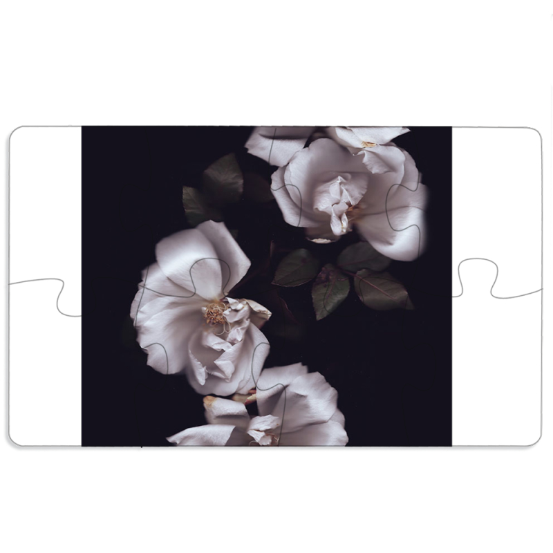 Магнитные фотопазлы 110 на 65 