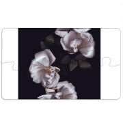 Магнитные фотопазлы 110 на 65 