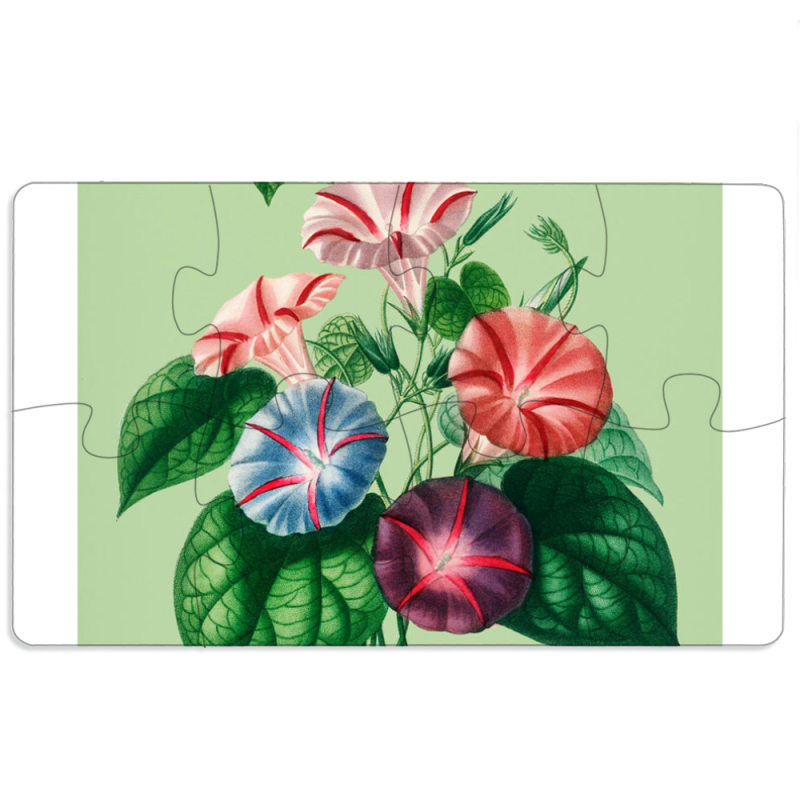 Магнитные фотопазлы 110 на 65 