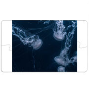 Магнитные фотопазлы 110 на 65 